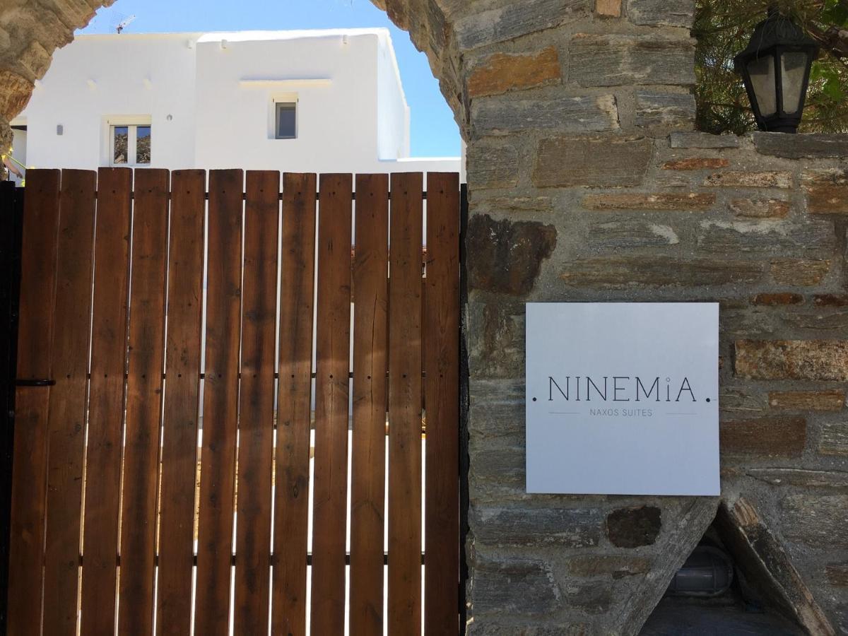 Ninemia Naxos Suites Agios Thaleleos Экстерьер фото